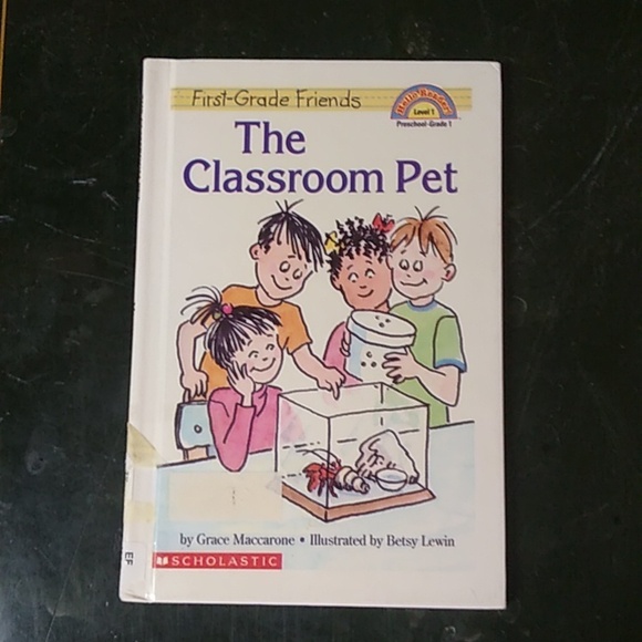 First Grade Friends Level Reader Preschool Classroom Children's Book Homeschool - Picture 7 of 12